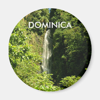 Aimant rond Standard De 2¼ Pouce