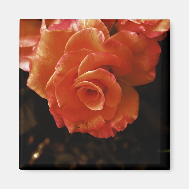 Aimant Rose (Devant)