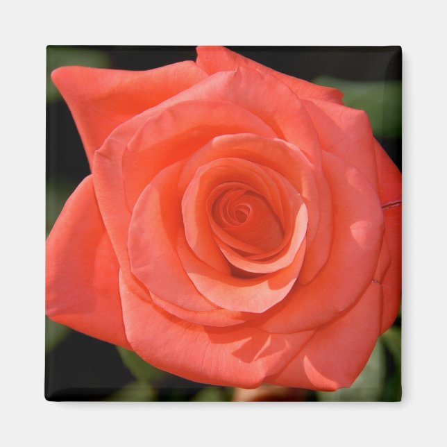 Aimant Rose (Devant)