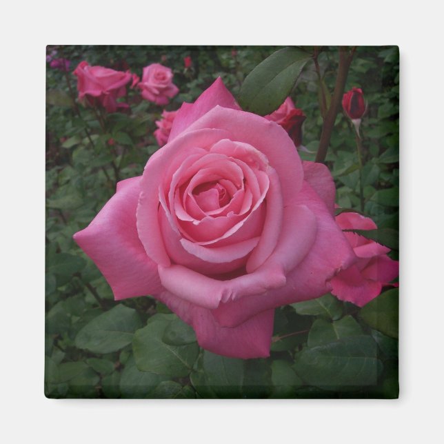 Aimant rose (Devant)