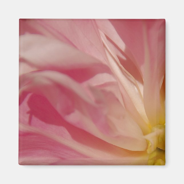 Aimant rose (Devant)