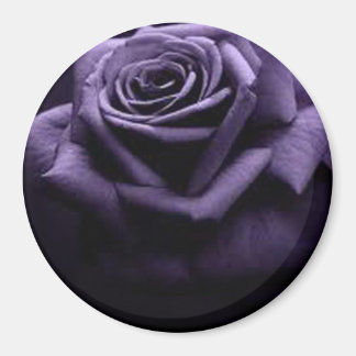 AIMANT ROSE