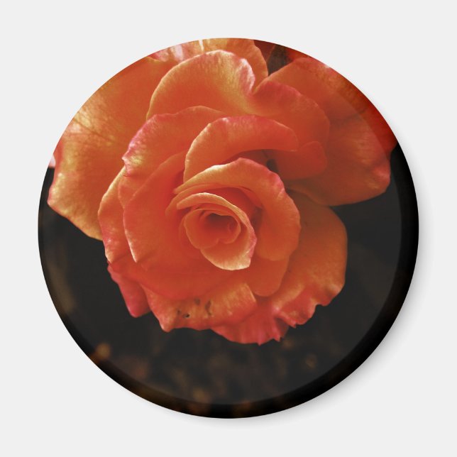 Aimant Rose (Devant)