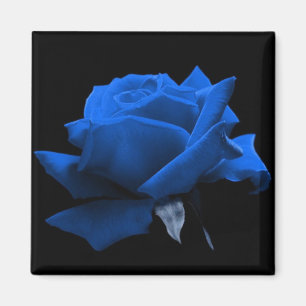 Aimant Rose bleu