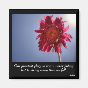 Aimant rose de gloire de fleur