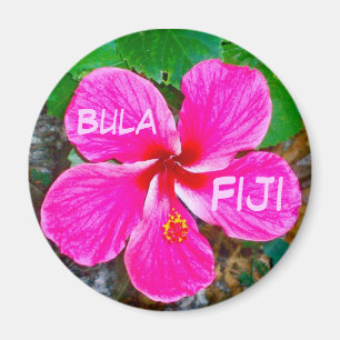 Aimant rose de Habiscus