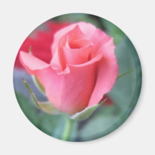 Aimant Rose de rose