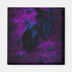 Aimant Rose éffrayant en matière noire, araignées noires