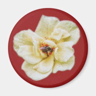 Aimant Rose et abeille