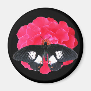 Aimant Rose et Swallowtail