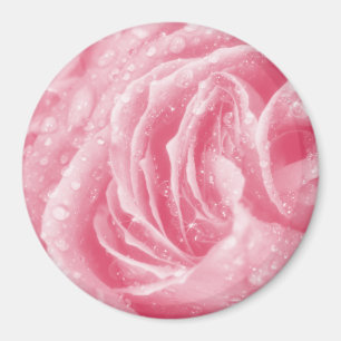 Aimant rose étincelant