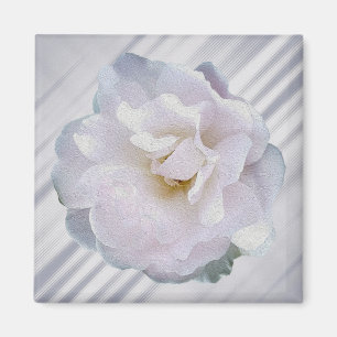Aimant Rose gris rose