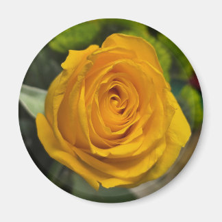 Aimant Rose Jaune