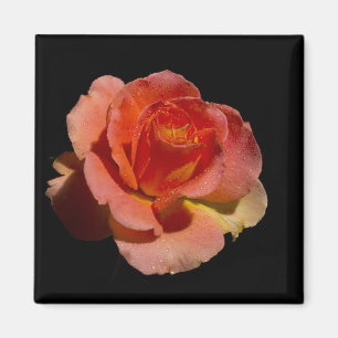 Aimant Rose orange 2
