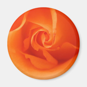 Aimant Rose orange clair