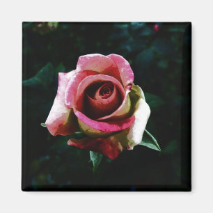 Aimant Rose peint à l'huile