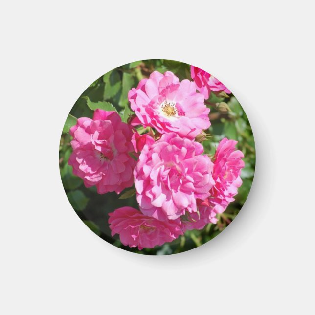 Aimant rose rose (Devant)