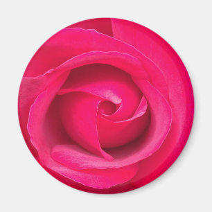 Aimant Rose rose rouge romantique