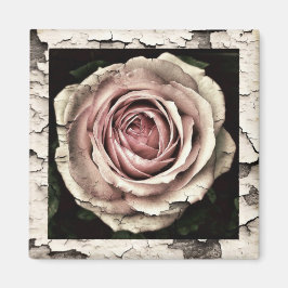Aimant Rose rose vintage