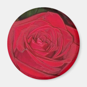 Aimant rose rouge rayonnant