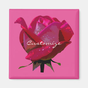 Aimant rose rouge unique couleur