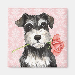 Aimant Rose Valentin Mini Schnauzer