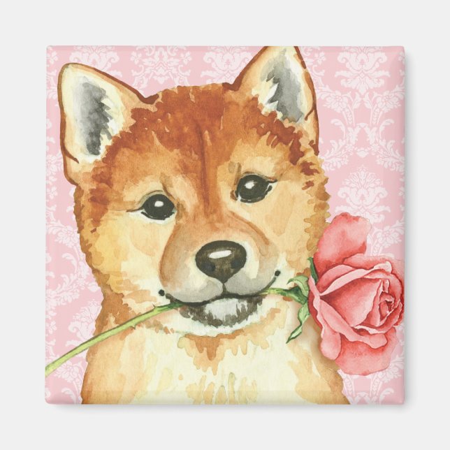 Aimant Rose Valentin Shiba Inu (Devant)