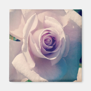 Aimant Rose violet