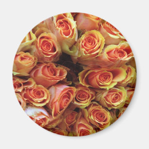 AIMANT ROSES