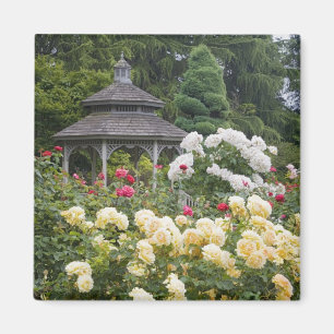 Aimant Roses en fleurs et roseraie du belvédère à