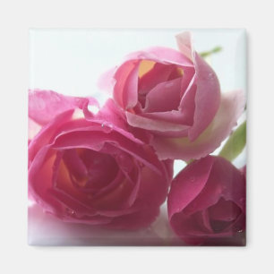 Aimant Roses roses