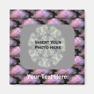 Aimant Roses roses roses Florales Photo