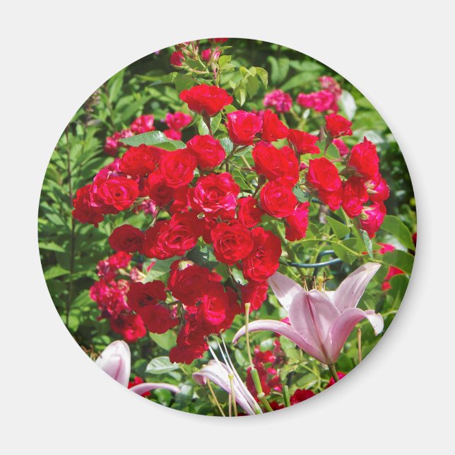 Aimant Roses rouges (Devant)