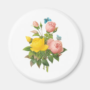 Aimant Roses thé jaunes persanes vintage par Redoute