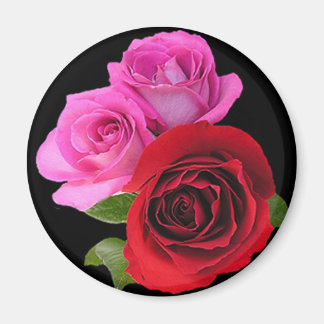 Aimant RosesRosesRoseRouge2