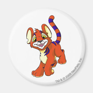 Aimant Rouge de Kougra