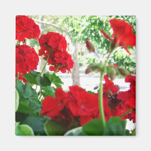 Aimant rouge lumineux de cadeau de jardin de