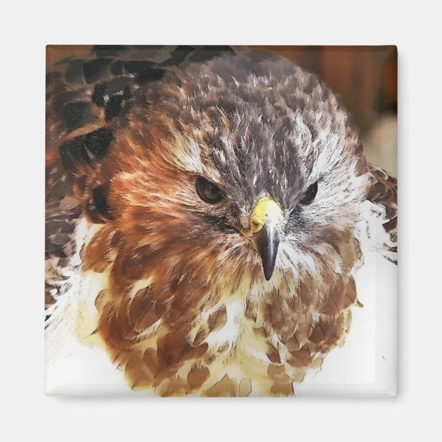 AIMANT ROUGE TAILLÉ HAWK (Devant)