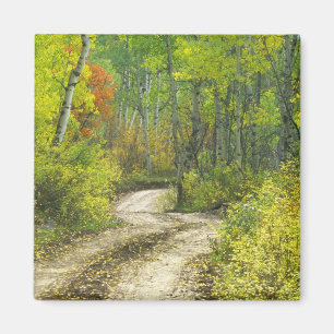Aimant Route avec couleurs d'automne et trembles à Kebler