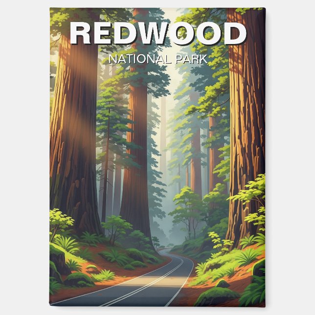 Aimant Route dans le parc national de Redwood (Recto)