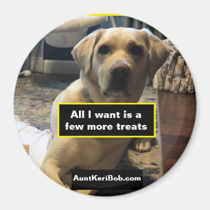 Aimant Ruger quelques autres friandises