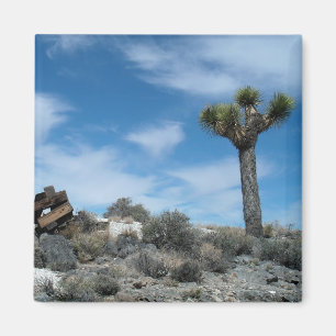 Aimant Ruines de la mine Talc avec Joshua Tree