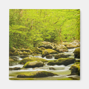 Aimant Ruisseau Rugissant au printemps
