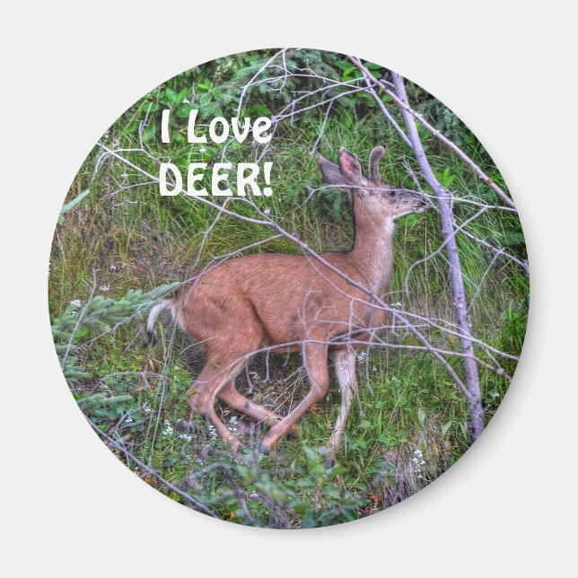 Aimant Running Deer Wildlife pour les amateurs de plein a (Devant)