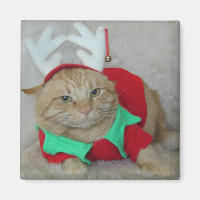 Aimant Rusty l'elfe renne (Devant)