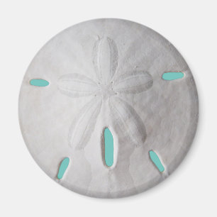 Aimant Sable dollar océan plage été turquoise blanc