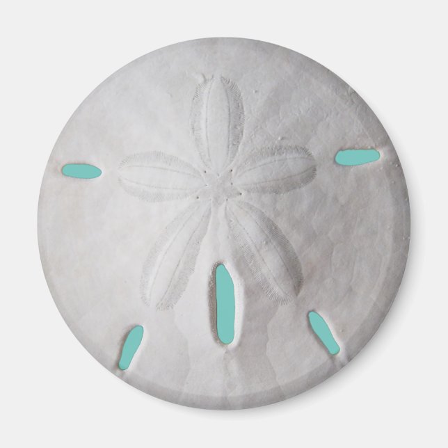 Aimant Sable dollar océan plage été turquoise blanc (Devant)