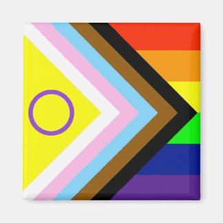 Aimant SAC FOURRE-TOUT de DRAPEAU PRIDE LGBTQI