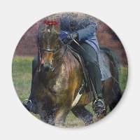 Saddleseat