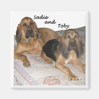 Aimant Sadie et Toby 1